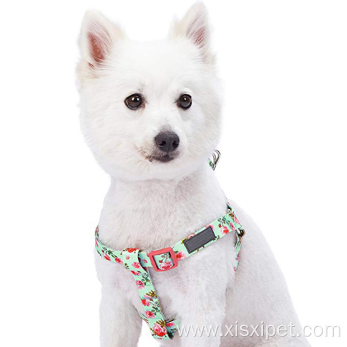 Pet Spring Scent Inspired Floral Sublimation Dog Harness